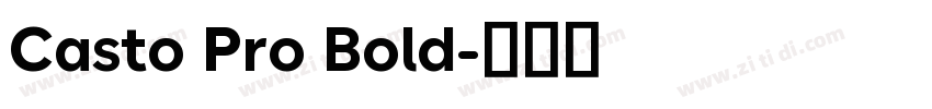 Casto Pro Bold字体转换